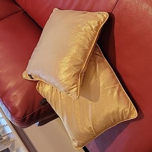 Set of 2 Accent pillows